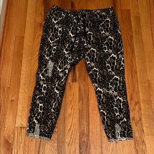 YMI Leopard Print-Black and Brown